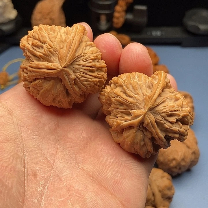 把件文玩核桃生命之源