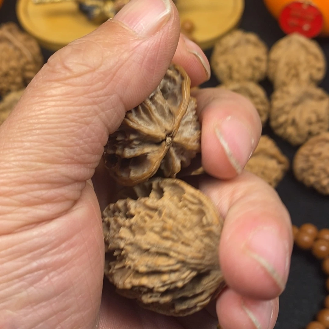 刘*湿秦岭南侧和秦岭北缘