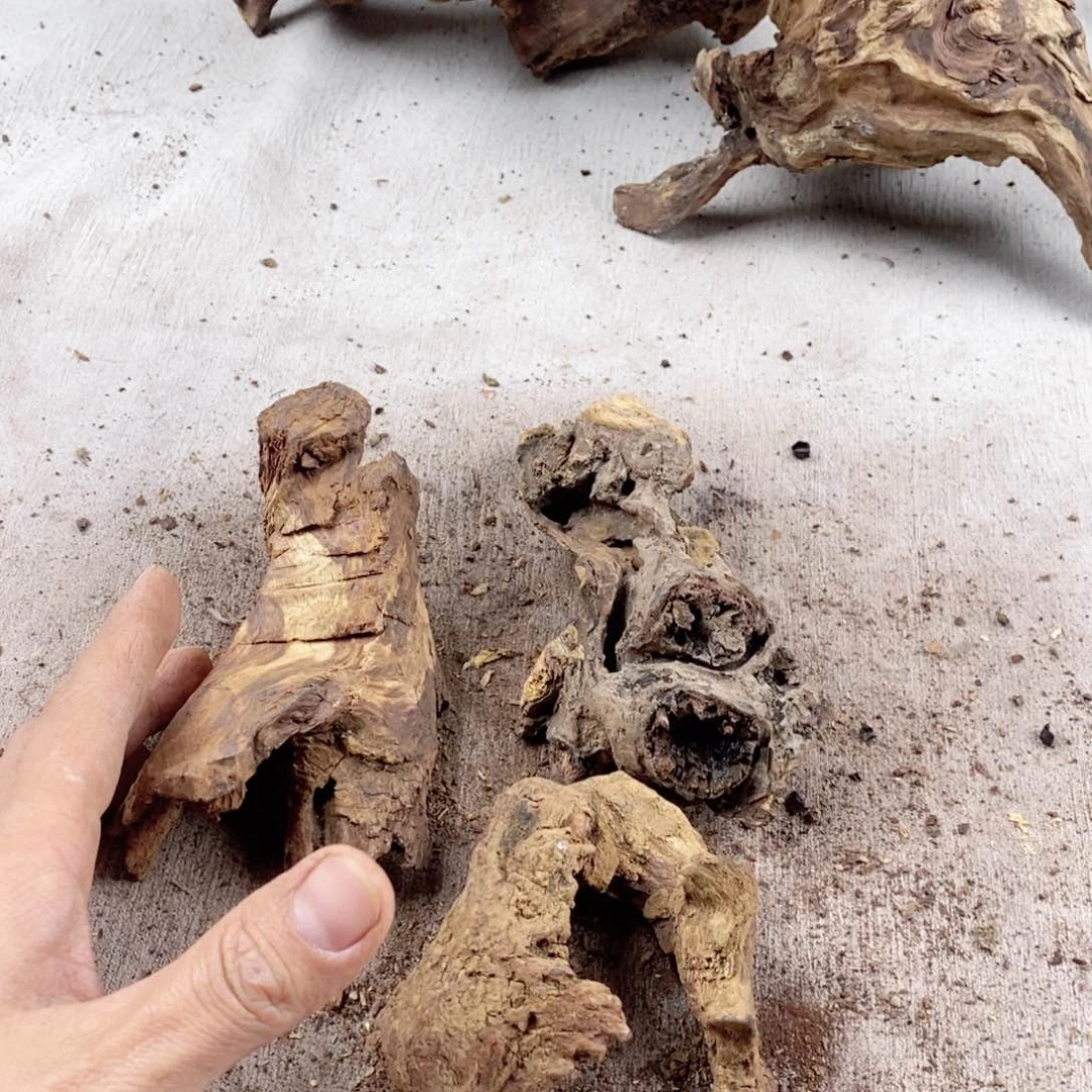 黄花梨/降香黄檀武****春