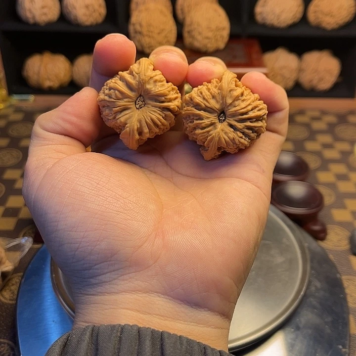 大叶紫檀（黑酸枝木类）