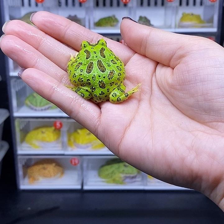 特价秒杀活动地址