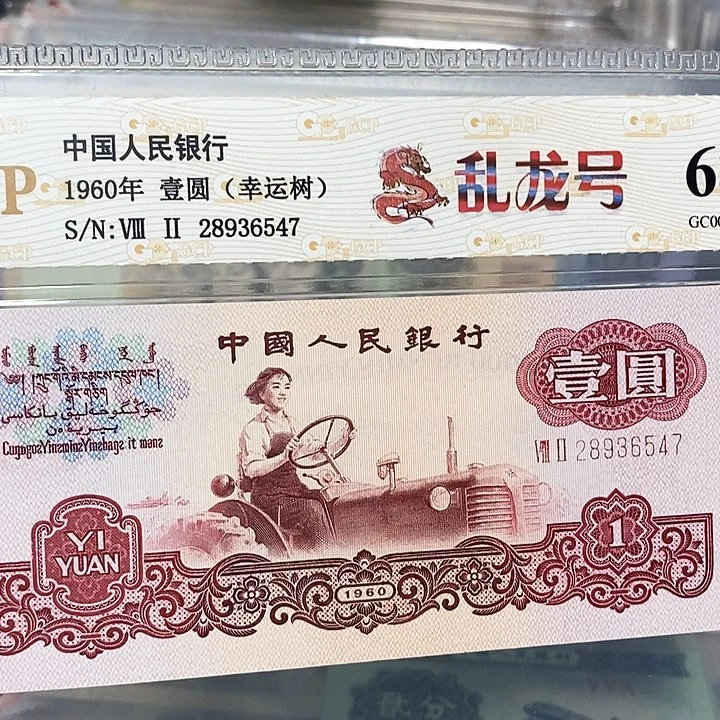 乱龙28936547，，，，，，