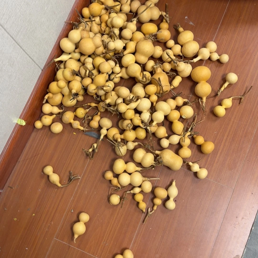 福袋瑕疵品，介意勿拍，瑕疵品