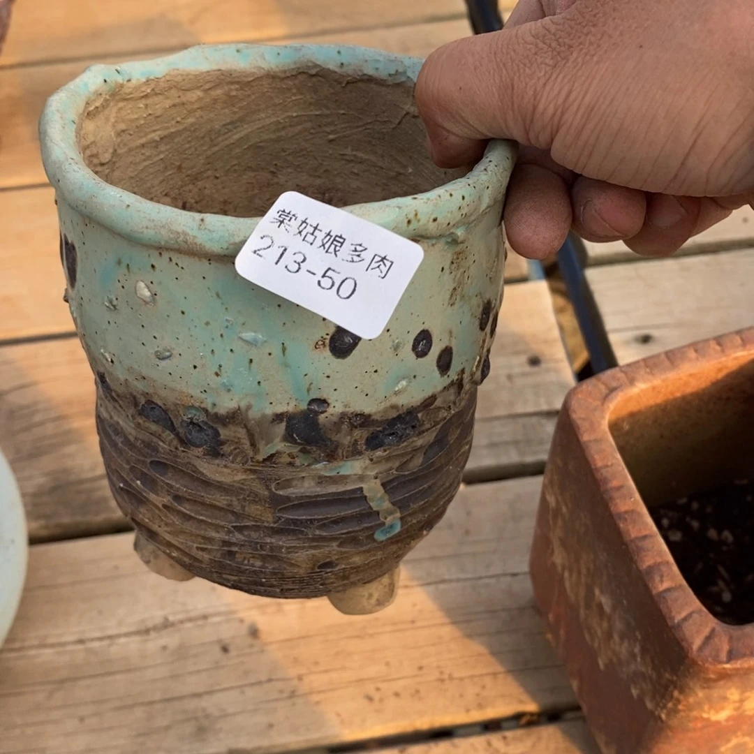 红陶初*50号多肉盆一个呀