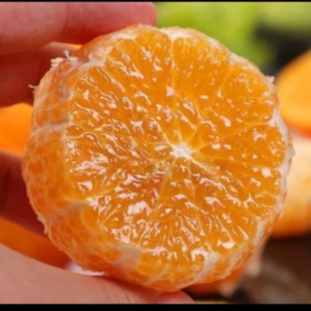 广西武鸣沃柑*净重5斤