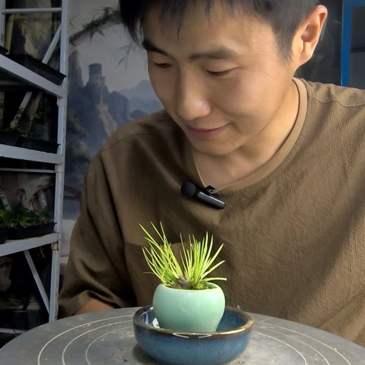A***n中青园艺一物一拍64