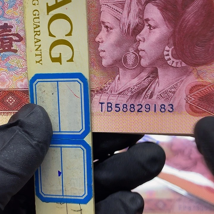 801至尊黄金圣龙2张绝品