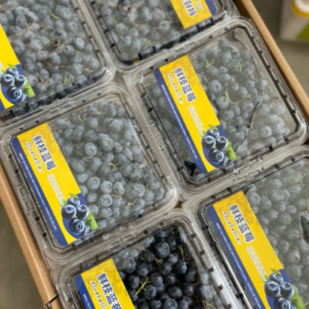 【超大盒更过瘾】山东鲜枝蓝莓400克 15MM山东省