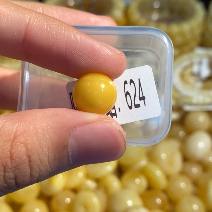 琥珀未镶嵌珠宝奇石624