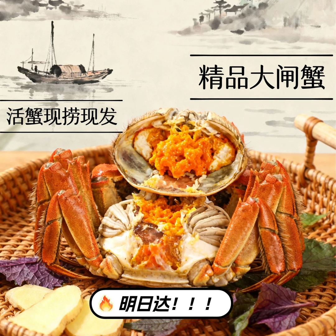 【活蟹】苏州精品大闸蟹3.3-3.0两公蟹+2.3-2.0两母蟹8/10只