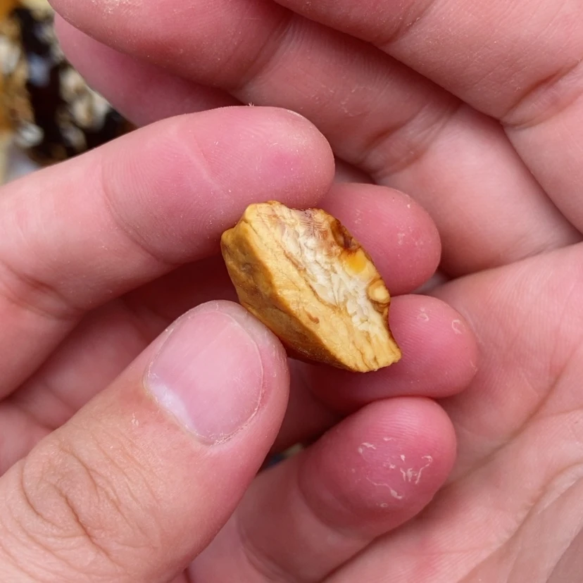 【闪购商品】定制琥珀未镶嵌蜜蜡