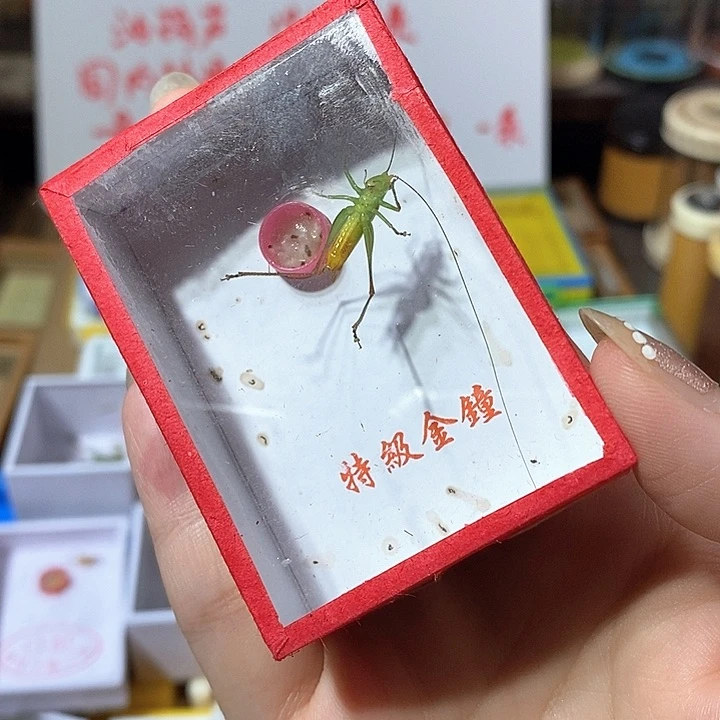 国内糖果全品-tzcbbn