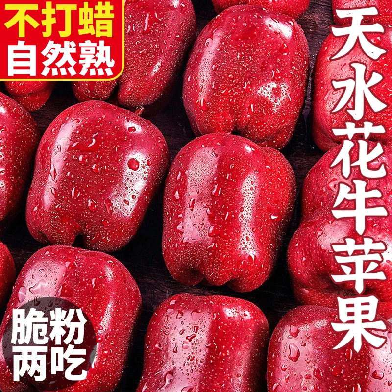 【9斤大果】甘肃天水花牛苹果5斤新鲜水果整箱包邮应当季红蛇粉面