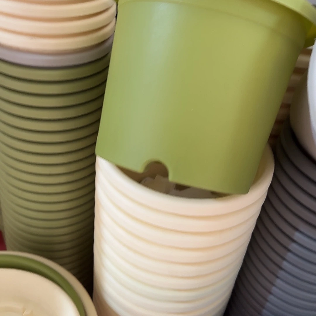 树脂四季3号无托10个果绿