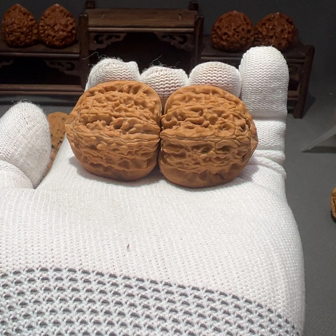 桃核把件了**拍正杨白狮子