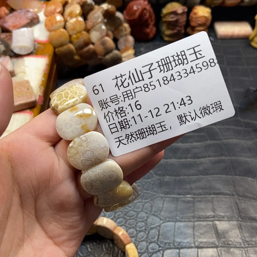 用***0硅化珊瑚（珊瑚玉）未镶嵌珠宝半成品61