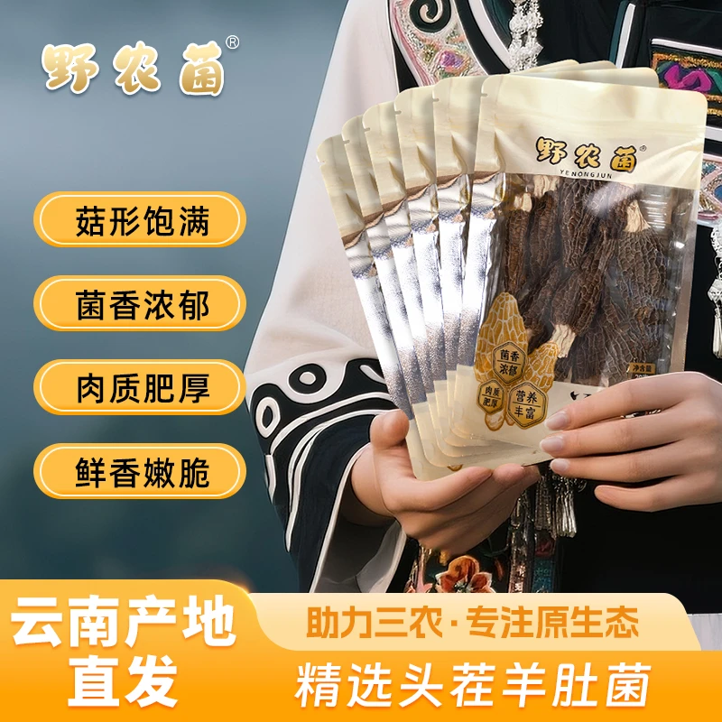 野农菌头茬羊肚菌（5-7公精品菇分）煲汤营养干货食用菌5包