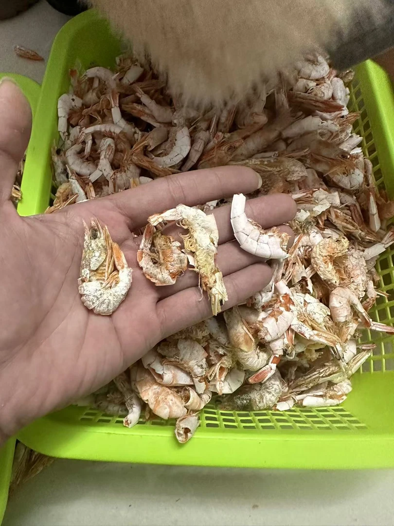 汕尾本港碣石船晒杂虾干  软壳断头断尾次虾