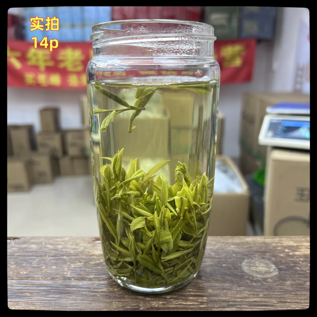 《H5》2025新茶上市黄山歙县产土种毛峰兰花香型好喝绿茶