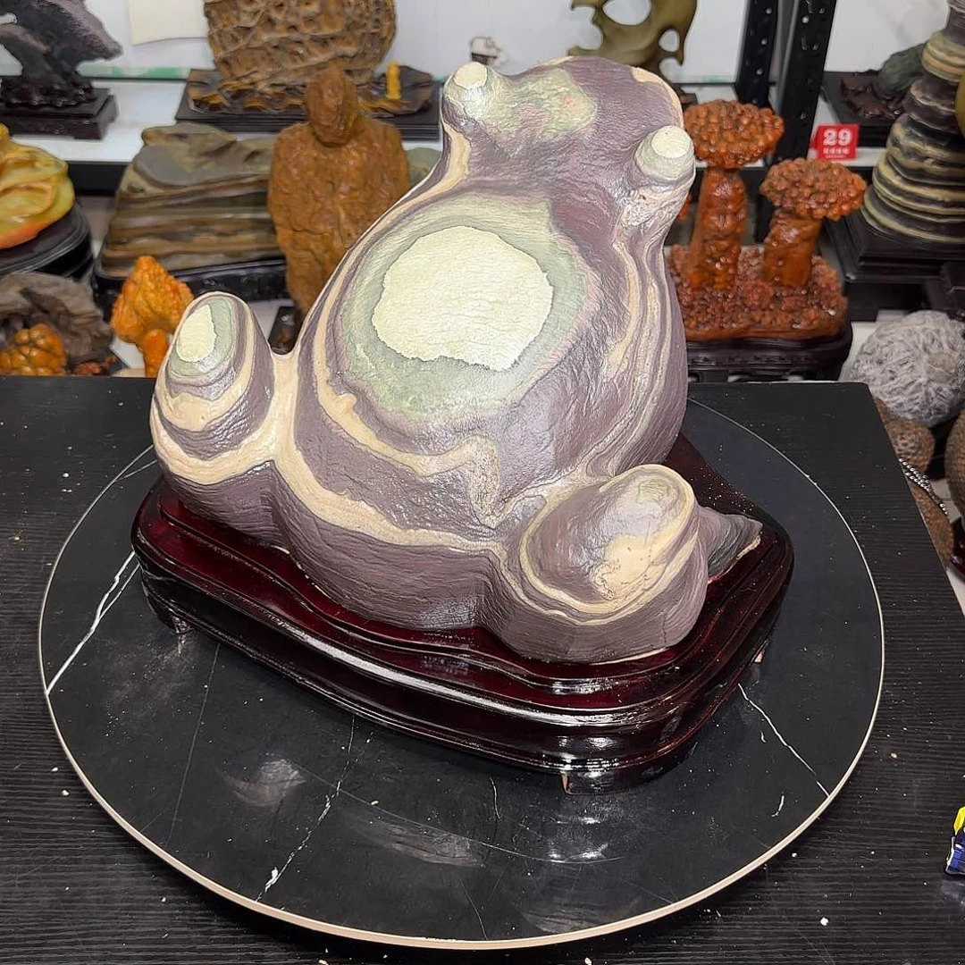 爱****品紫袍玉带奇石绿植