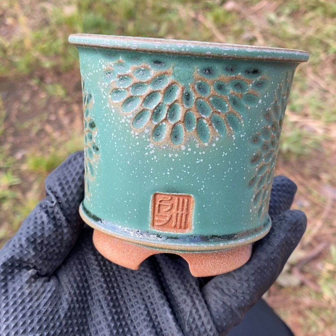 叶**?圣诞绿大丽花可乐杯7.5口