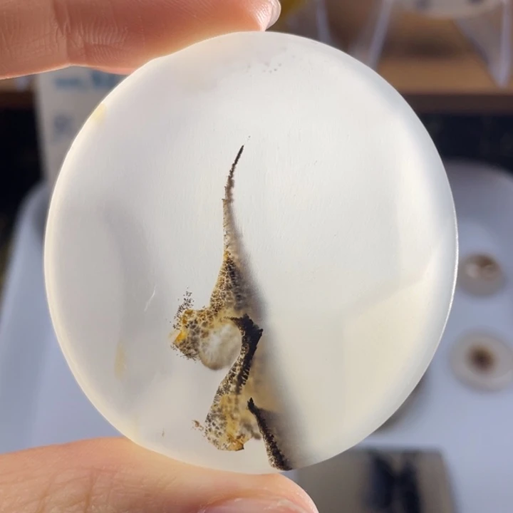 玛瑙/玉髓未镶嵌牌子