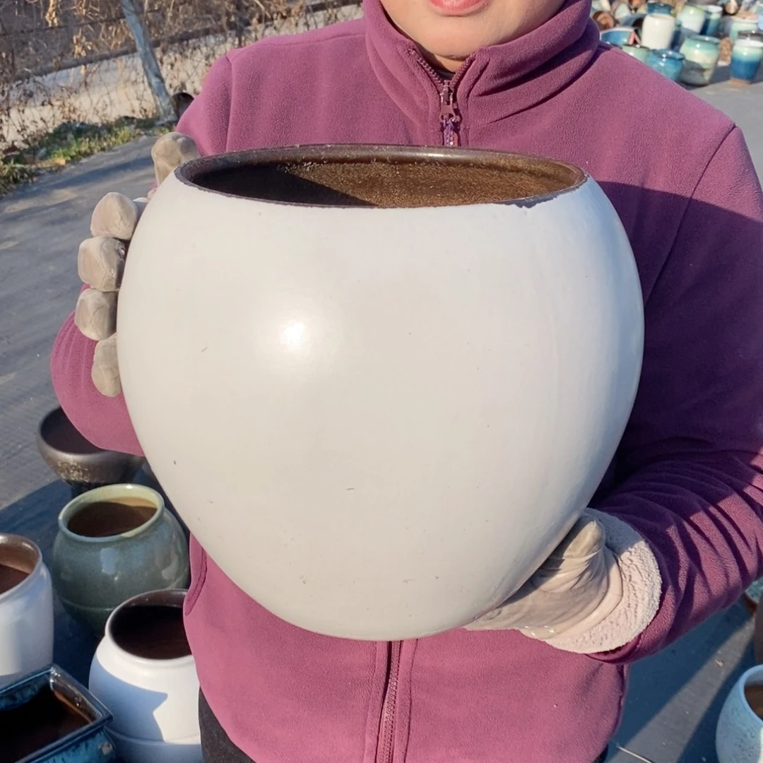 红陶口20高22～～～