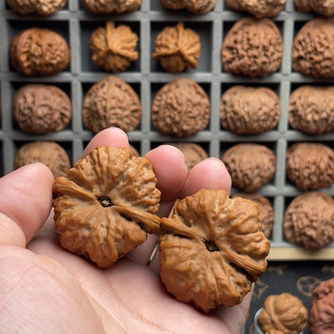 麋***鹿核桃手串/手链39微修蛤蟆头