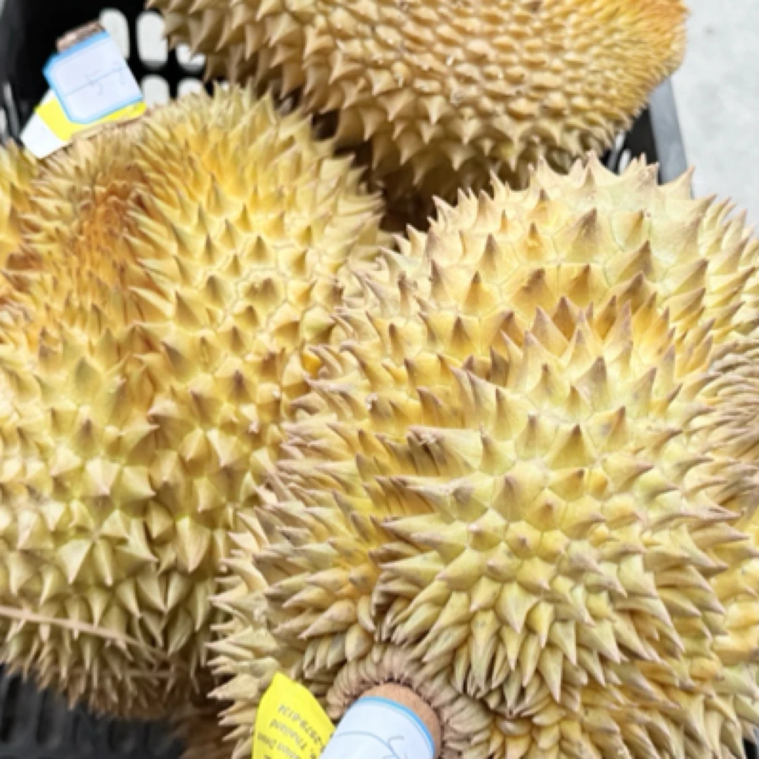 【金枕榴莲特惠】福清贝鲜生新鲜金枕榴莲27/斤 核大 自然裂开壳即可吃榴莲金枕