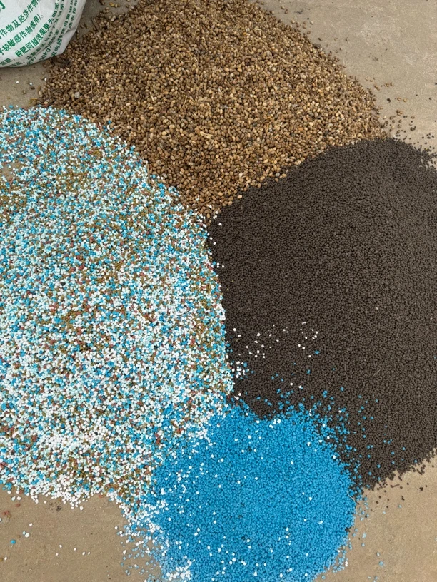 牡丹芍药好伴侣植物花卉通用