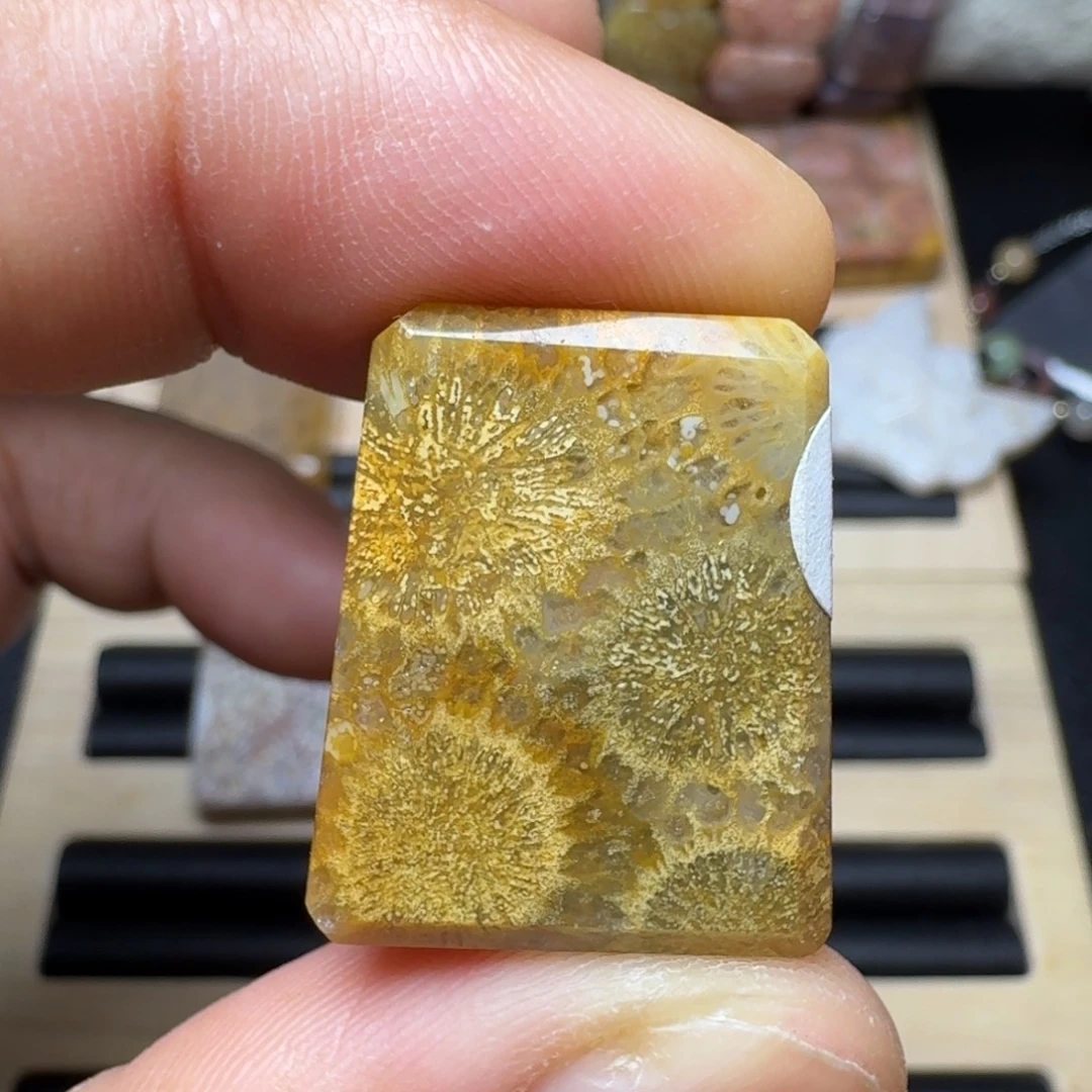 未镶嵌纯天然色有机玉石保真色硅化玉