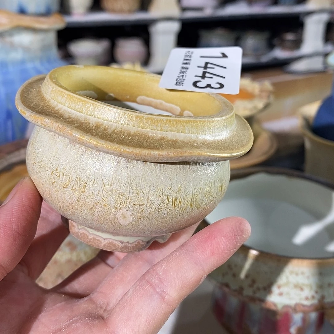 花盆花盆花盆花盆优品