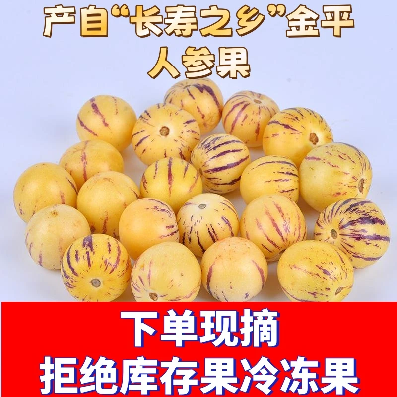人参果云南金平人参果新鲜水果圆果黄果非石林人参果甘肃民勤果