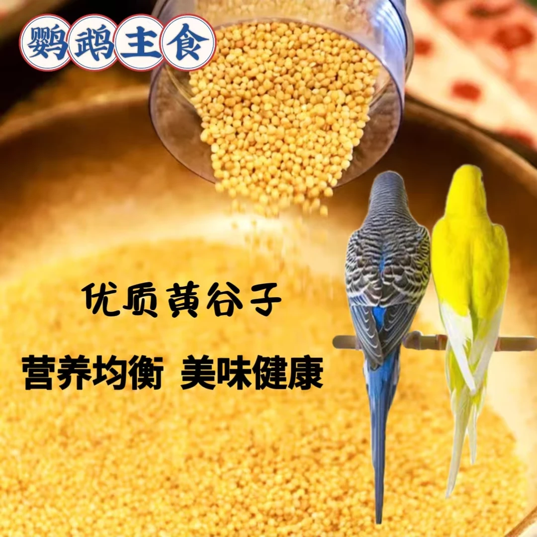 虎皮鹦鹉粮带壳大颗粒黄谷子玄凤中小型鸟粮
