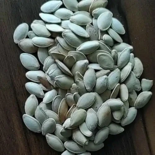 中缅佤山土特产【南瓜籽】云南下山货