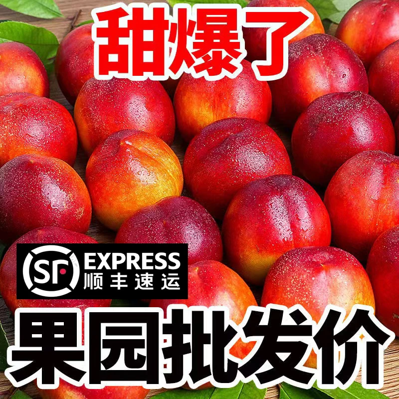 【顺丰】黄心油桃新鲜水果当季脆现摘正宗黄肉满天星麻子脸蜜桃子