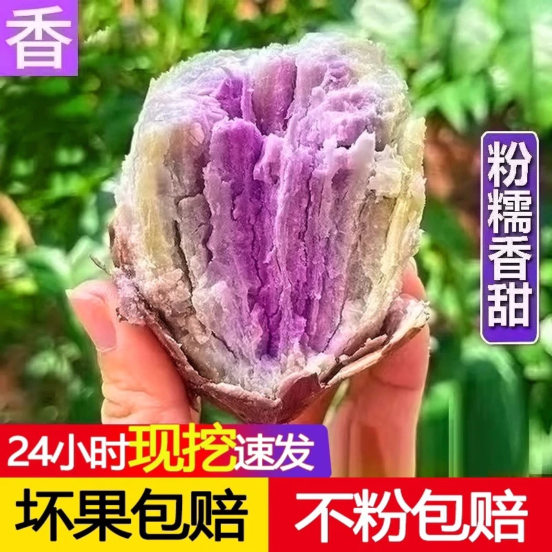 冰淇淋红薯一点红番薯新鲜沙地一件代发现挖花心紫薯地瓜