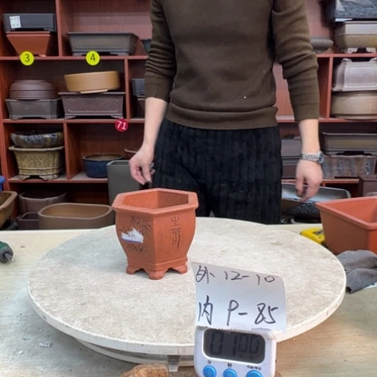 今***四紫砂花盆里都藏满