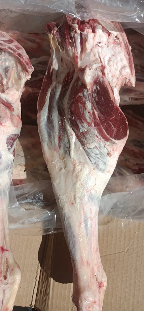 清真精品带骨羊后腿