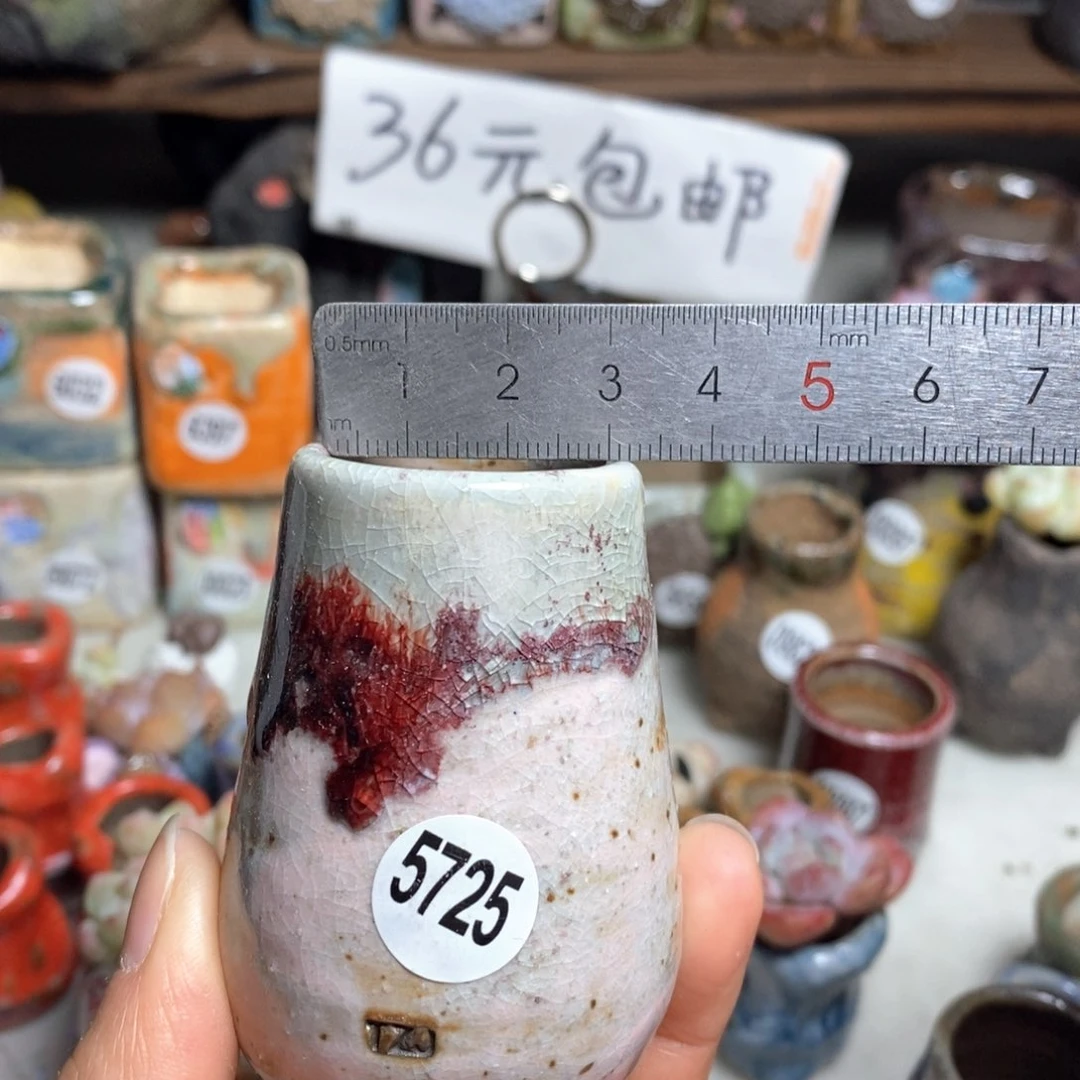 花盆拍5送一个小礼物