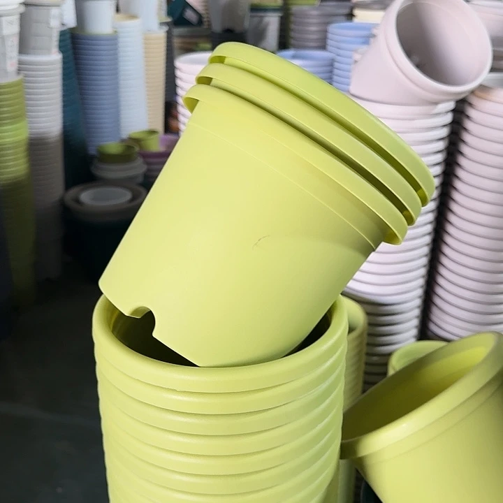 四季3#口径21果绿10个带托