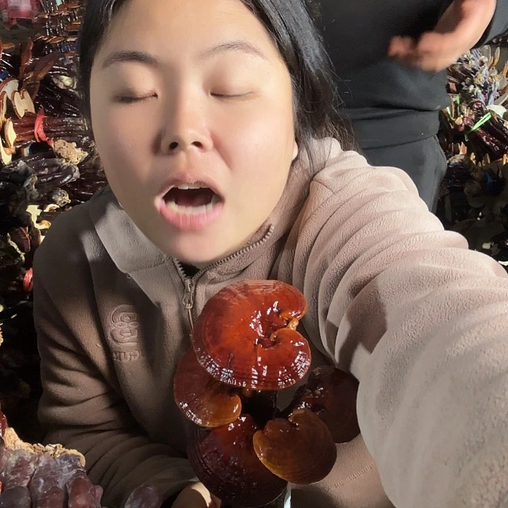 无花朵阳***蔡灵芝花开