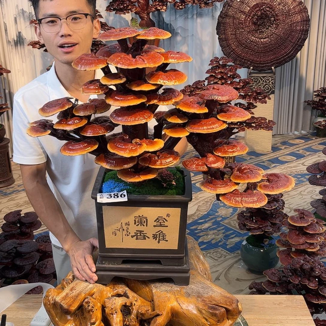 无花朵88888888888888