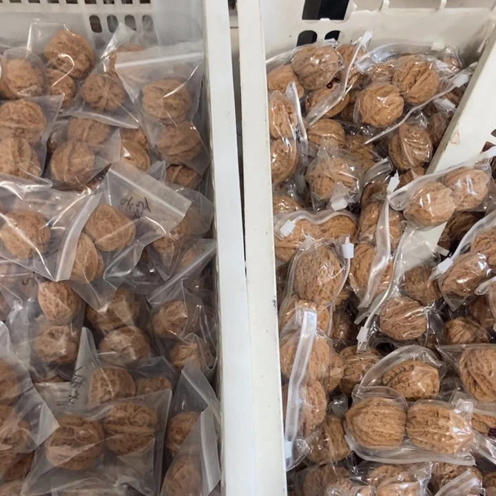 吊坠文玩核桃华北、僧帽瑕疵