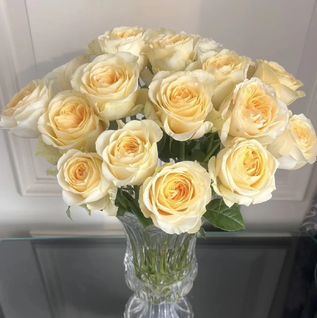 （曼） 奶油杯15支+5支防损 鲜花任意满2单包邮