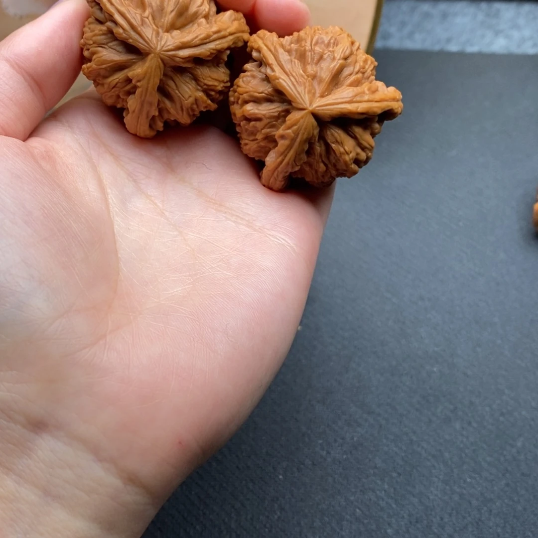 悠*白狮子111111111