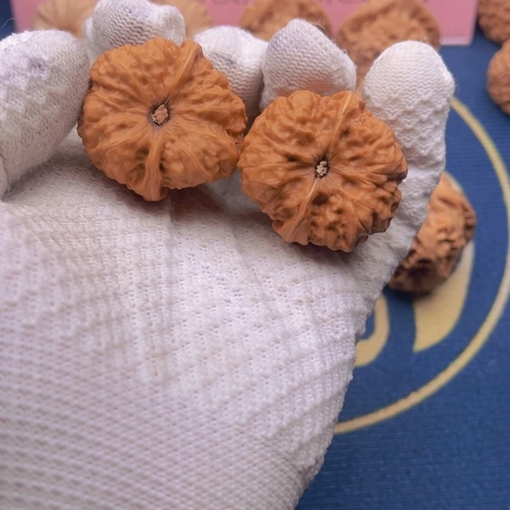 徐*欢福利款有修蛤蟆头