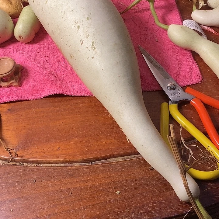 龙***虽青皮腰子葫芦手把件