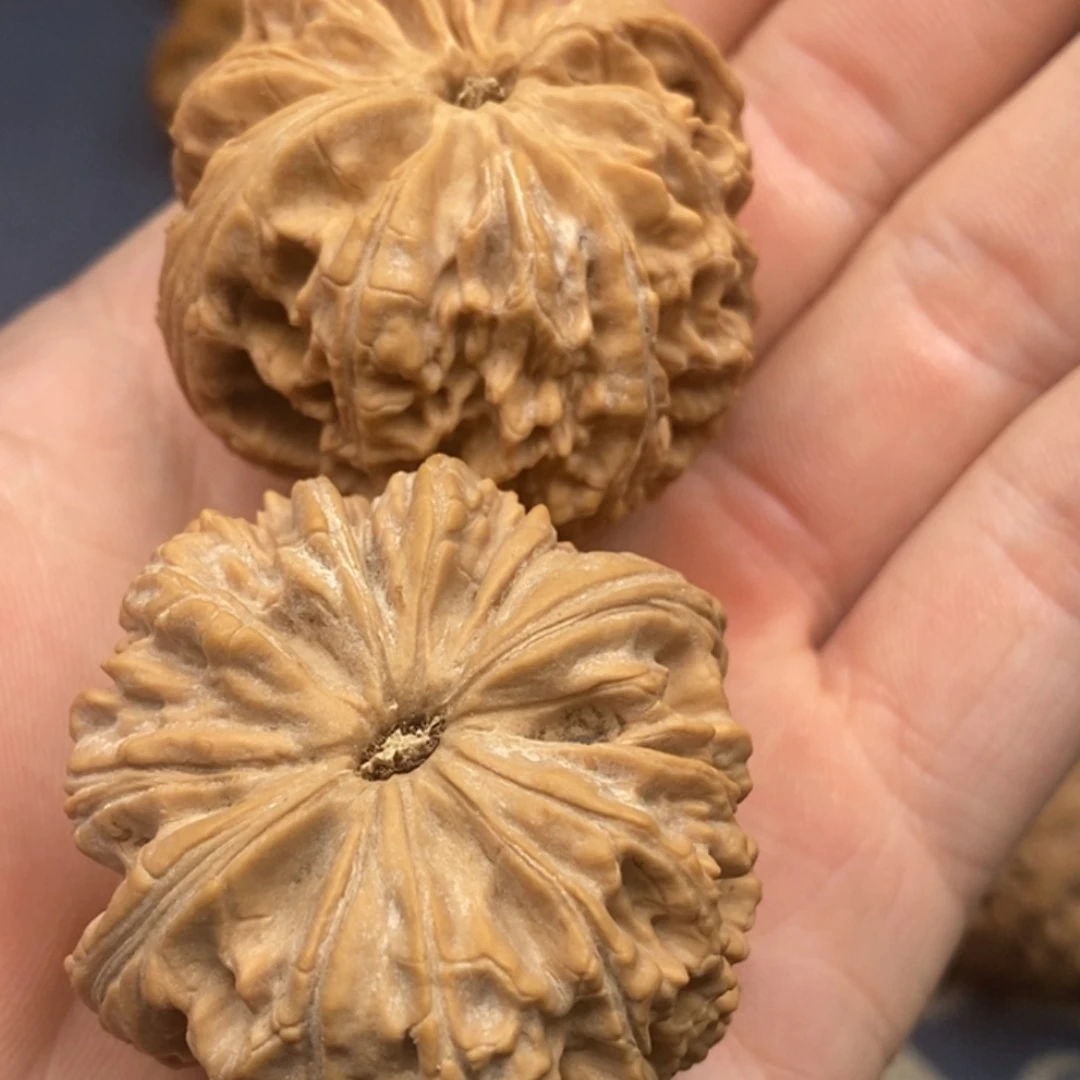 哥****走记录我摸摸哦哦哦哭就哭了