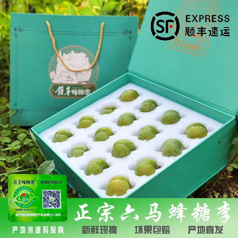 [送礼首选]贵州镇宁正宗六马蜂糖李 镇宁蜂糖李现摘 当季鲜果